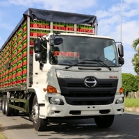 Hino FM8JW8A chở gia cầm 448 lồng