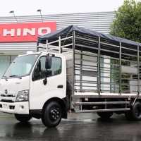 Hino XZU730 chở gia cầm 224 lồng