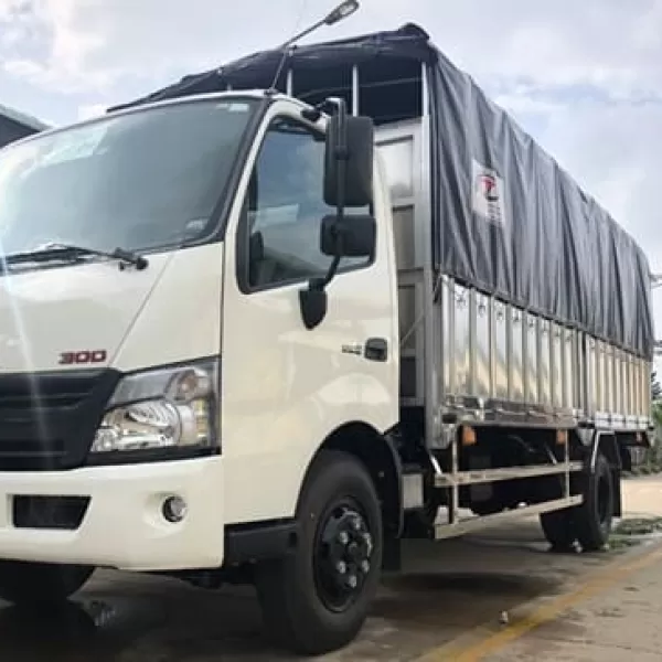 Tải trọng 4,6 tấn