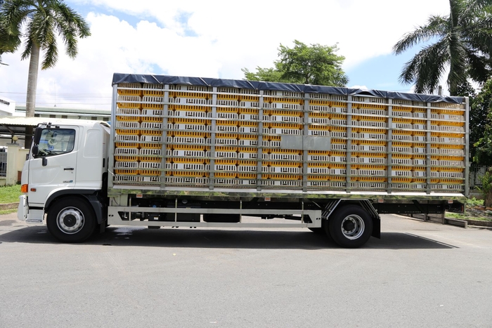 Hino FG8JT8A chở gia cầm