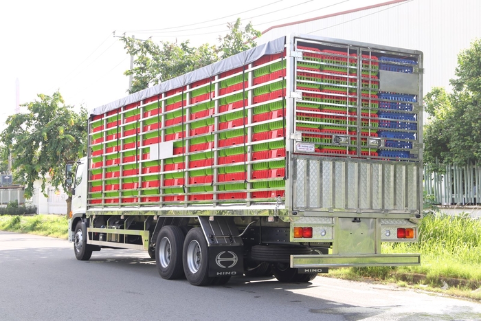 Thiết kế thùng xe chuyên dụng: Tối ưu hóa cho vận chuyển gia cầm